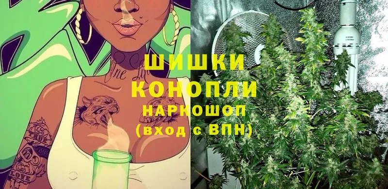 мега сайт  Шуя  Каннабис LSD WEED  как найти закладки 